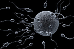 Factores también terminan disminuyendo la producción de espermatozoides.